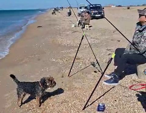 Проверили береговую линию на песчаной косе между Витязево и Благовещенской