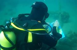 Юный ныряльщик с аквалангом Никита Федотов пишет настоящие картины прямо под водой